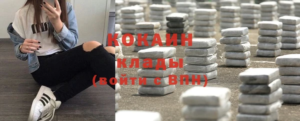 амф Богданович