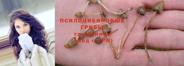а пвп мука Богородицк