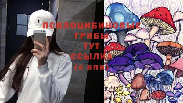 прущая мука Богородск