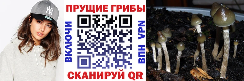 Псилоцибиновые грибы мухоморы  МЕГА онион  Наро-Фоминск 