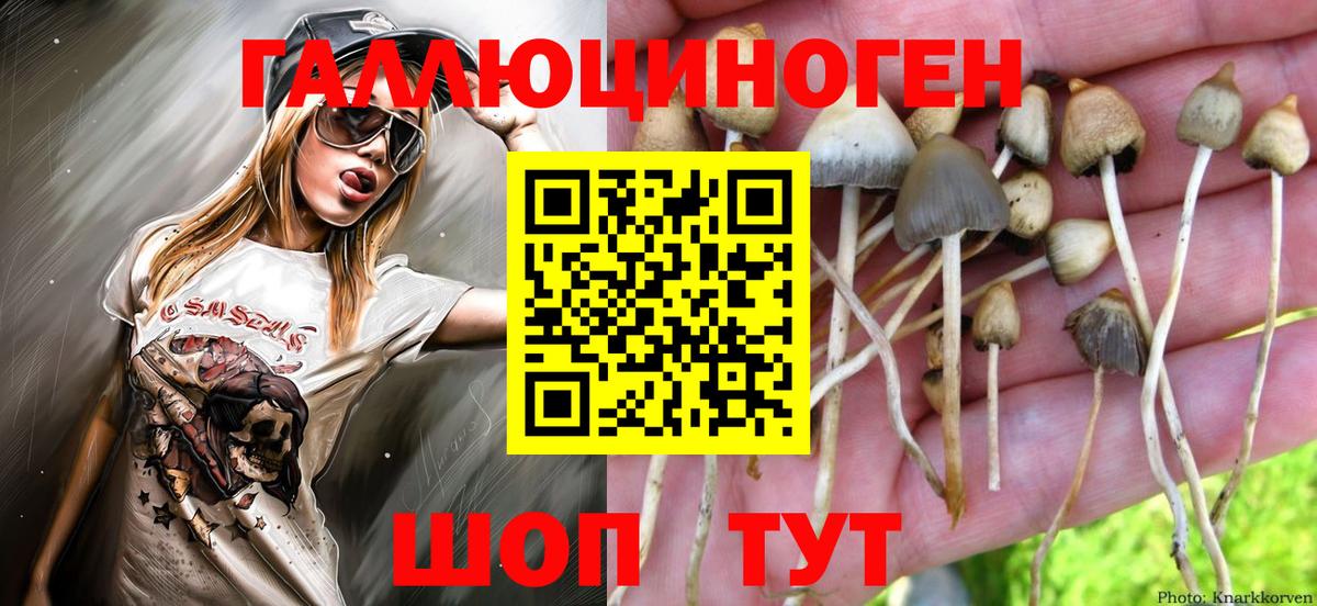 Псилоцибиновые грибы Magic Shrooms Наро-Фоминск