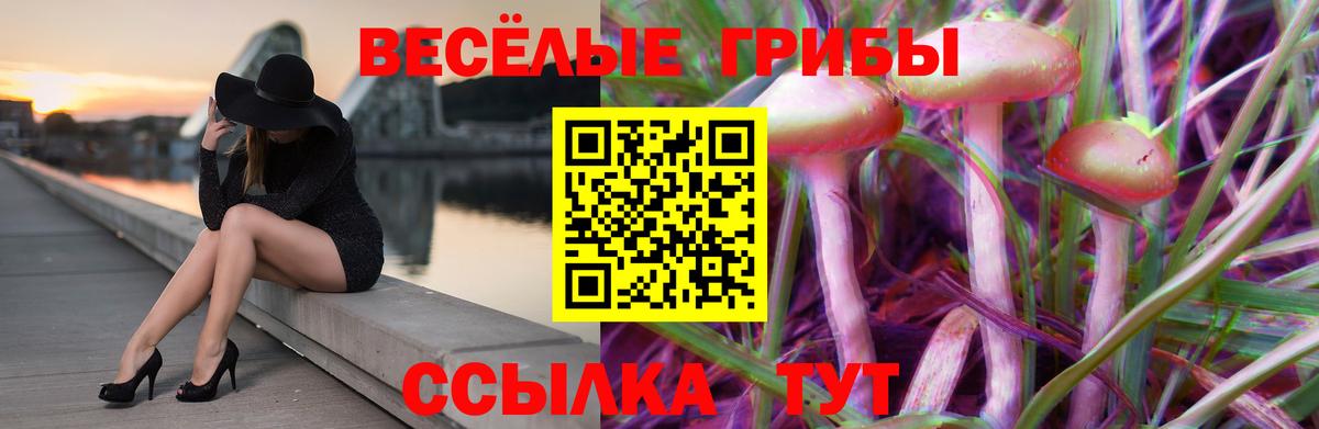 Наро-Фоминск  Псилоцибиновые грибы ЛСД  Вход с VPN 